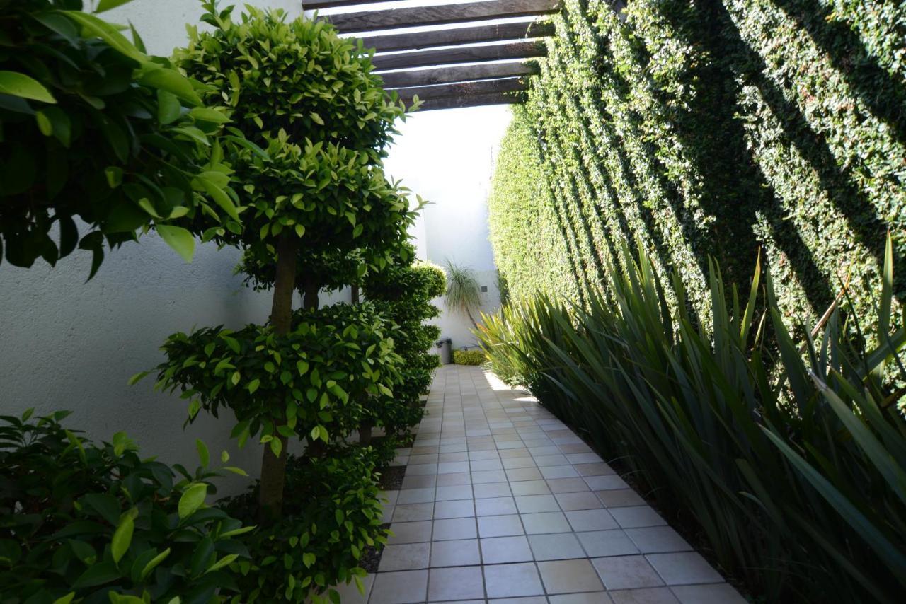 Suites La Fe Oaxaca Εξωτερικό φωτογραφία